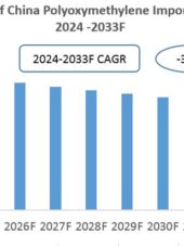 China Polyoxymethylene Import