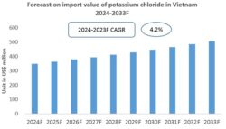 Vietnam Potassium Chloride Import