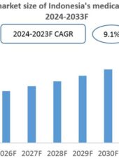 Indonesia Medical Devices Industry