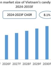Vietnam Candy Industry