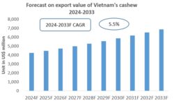 Vietnam Cashew Export