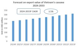 Vietnam Cassava Export Research Report 2024-2033