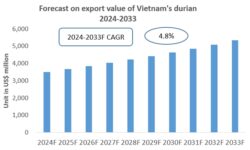 Vietnam Durian Export Research Report 2024-2033