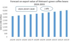 Vietnam Green Coffee Beans Export