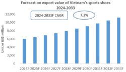 Vietnam Sports Shoes Export Research Report 2024-2033