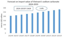 Vietnam Sodium Carbonate Import Research Report 2024-2033