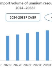 China's Uranium Resource Import