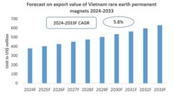 Vietnam Rare Earth Permanent Magnets Export