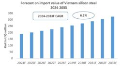 Vietnam Silicon Steel Import