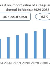 Mexico Airbags and Parts thereof Import