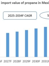 Mexico Propane Import Research Report 2025-2034